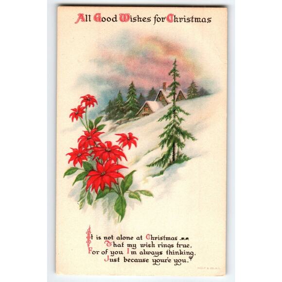 Vintage Christmas Postcard Snowy Cabin Poinsettias Wolf & Co. NY - Picture 1 of 2